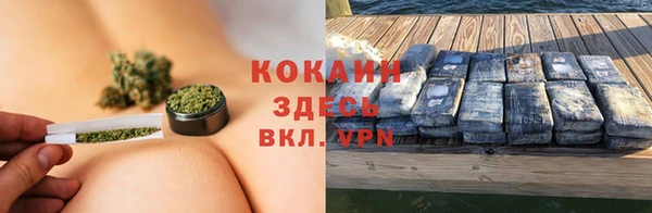 ПСИЛОЦИБИНОВЫЕ ГРИБЫ Краснотурьинск