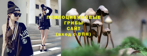 ПСИЛОЦИБИНОВЫЕ ГРИБЫ Краснотурьинск